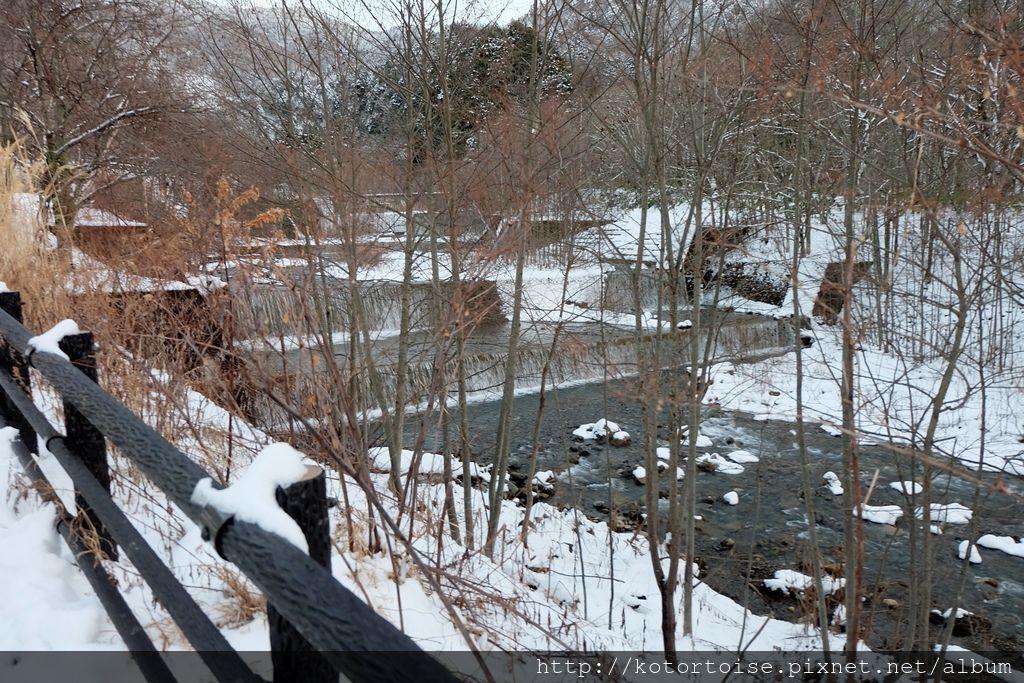 [日本北陸] 意料之外的雪國美景 - 平湯溫泉