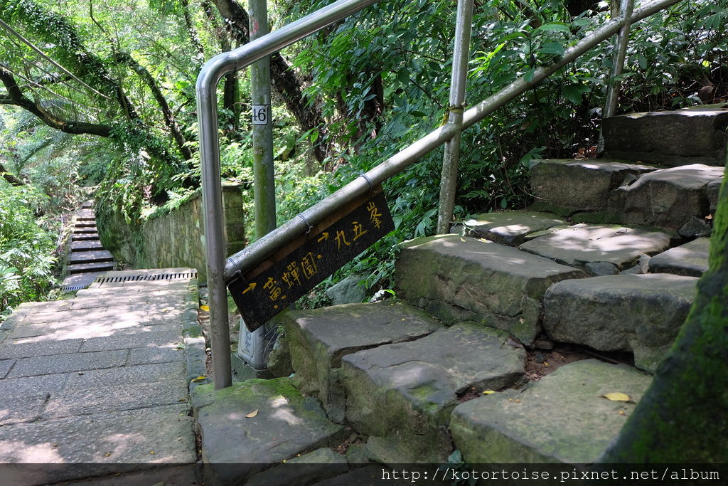 DSCF3385.JPG DSCF3385.JPG