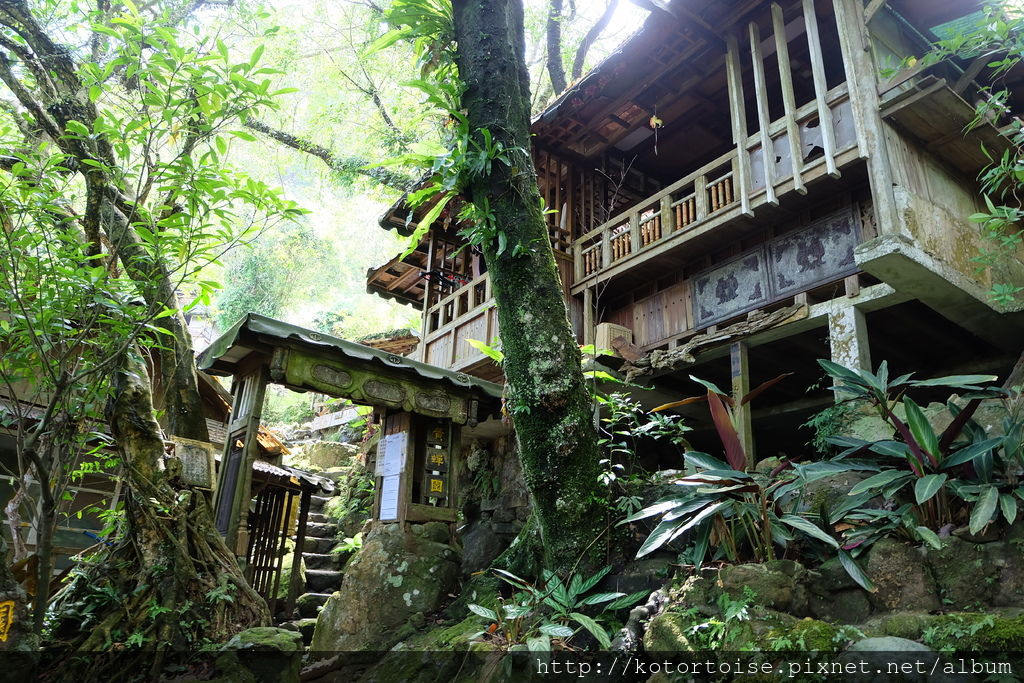 DSCF3391.JPG DSCF3391.JPG