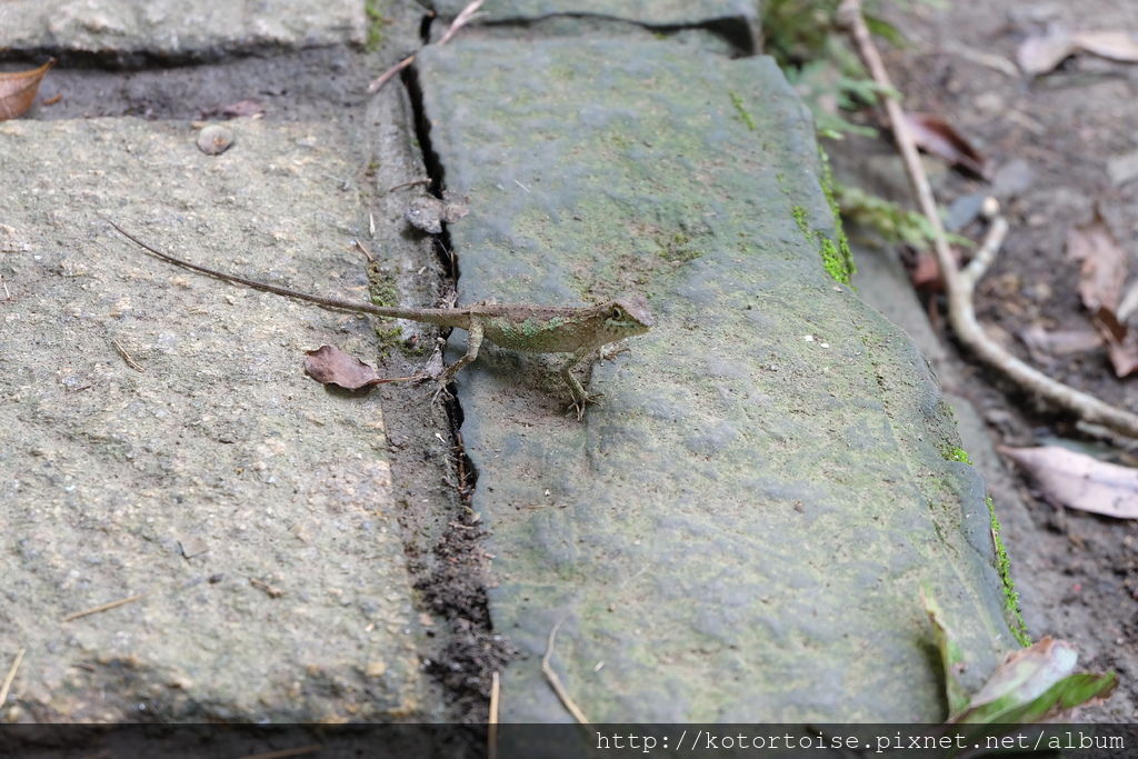 DSCF3417.JPG DSCF3417.JPG