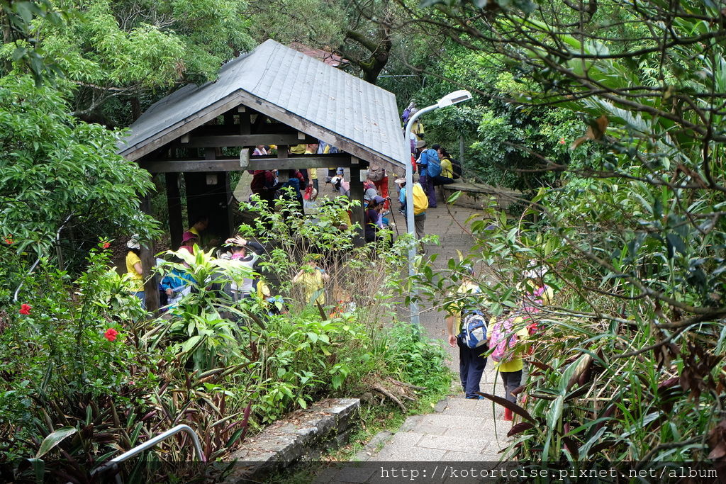 DSCF3439.JPG DSCF3439.JPG