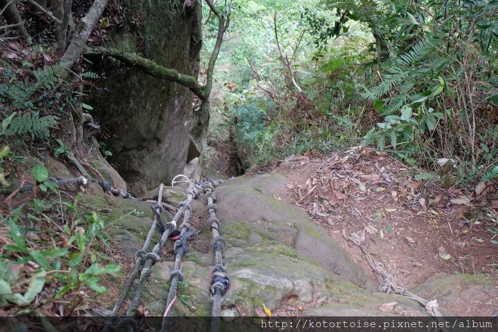 DSCF3440.JPG DSCF3440.JPG