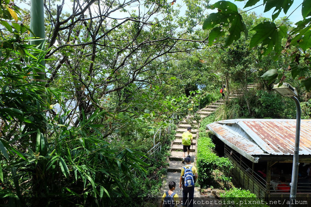 DSCF3458.JPG DSCF3458.JPG