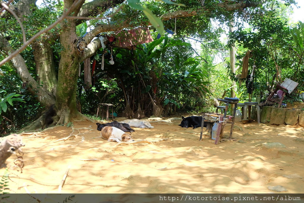 DSCF3459.JPG DSCF3459.JPG