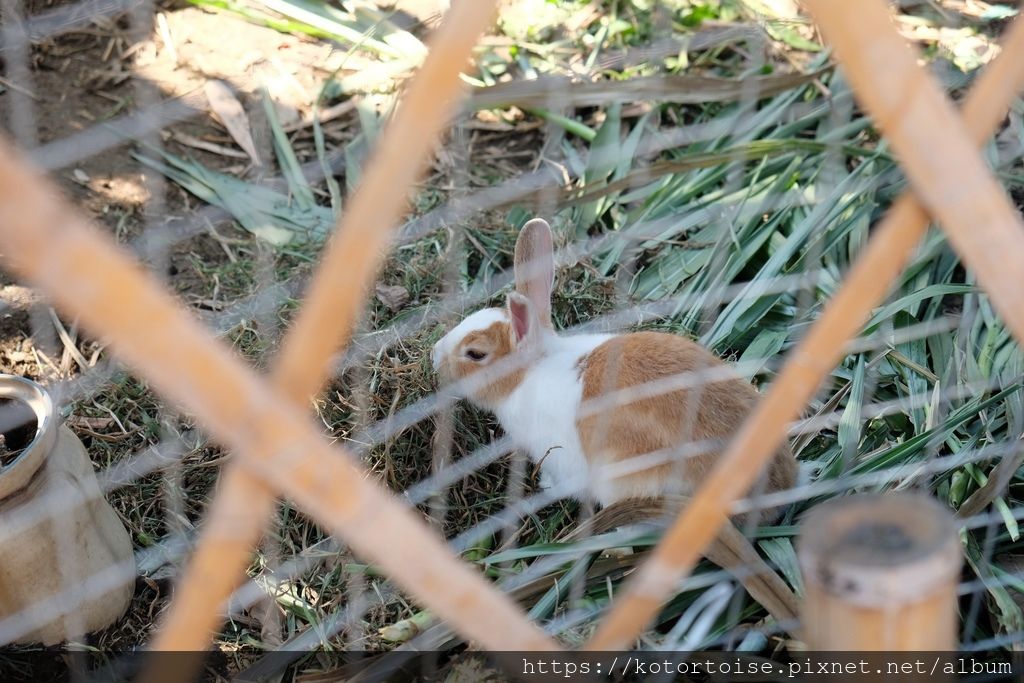 DSCF5290.jpg DSCF5290.jpg