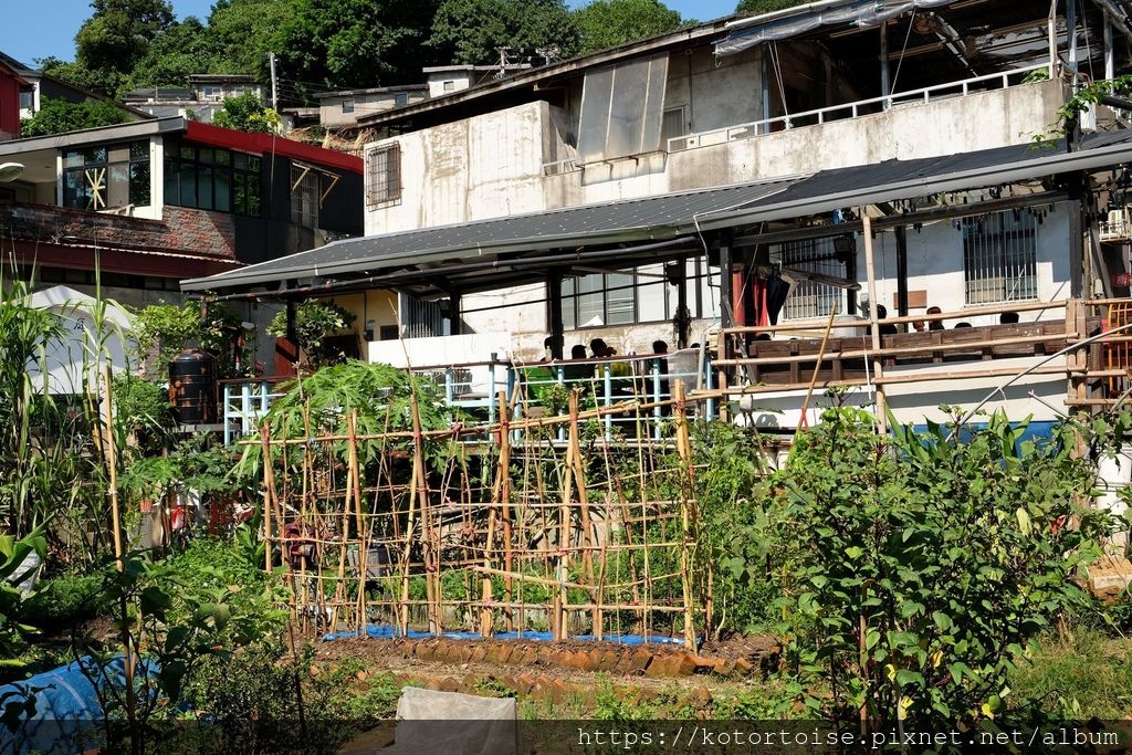 DSCF5309.jpg DSCF5309.jpg