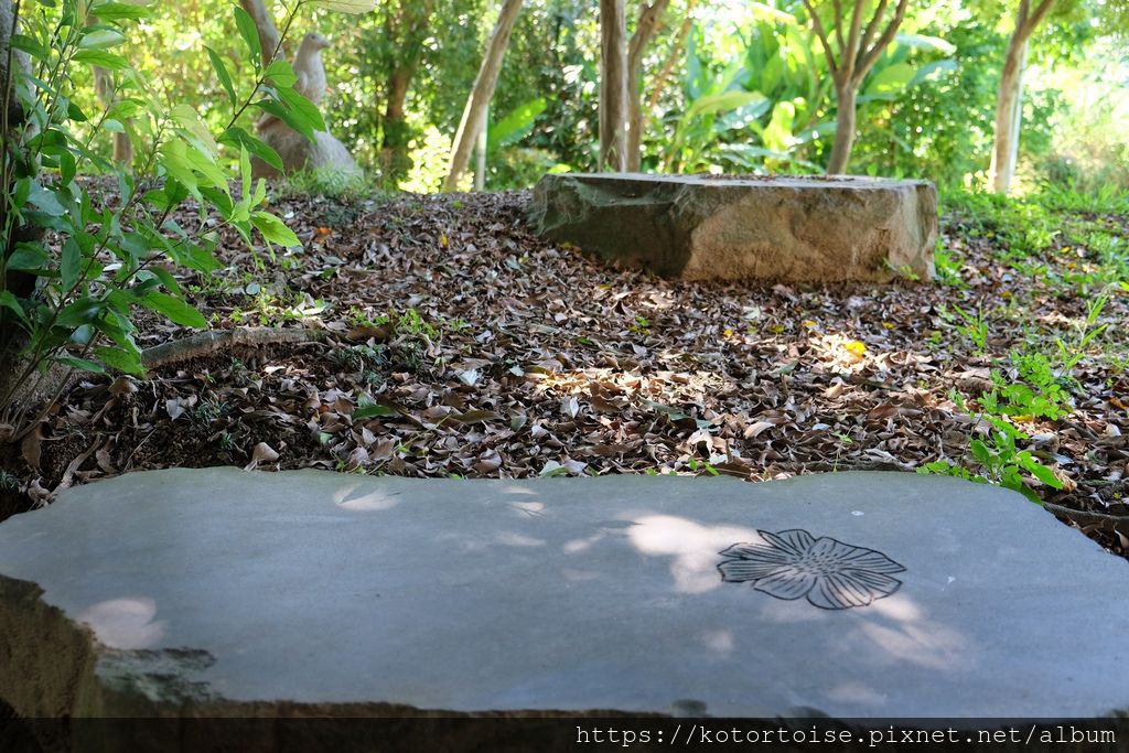 DSCF5314.jpg DSCF5314.jpg