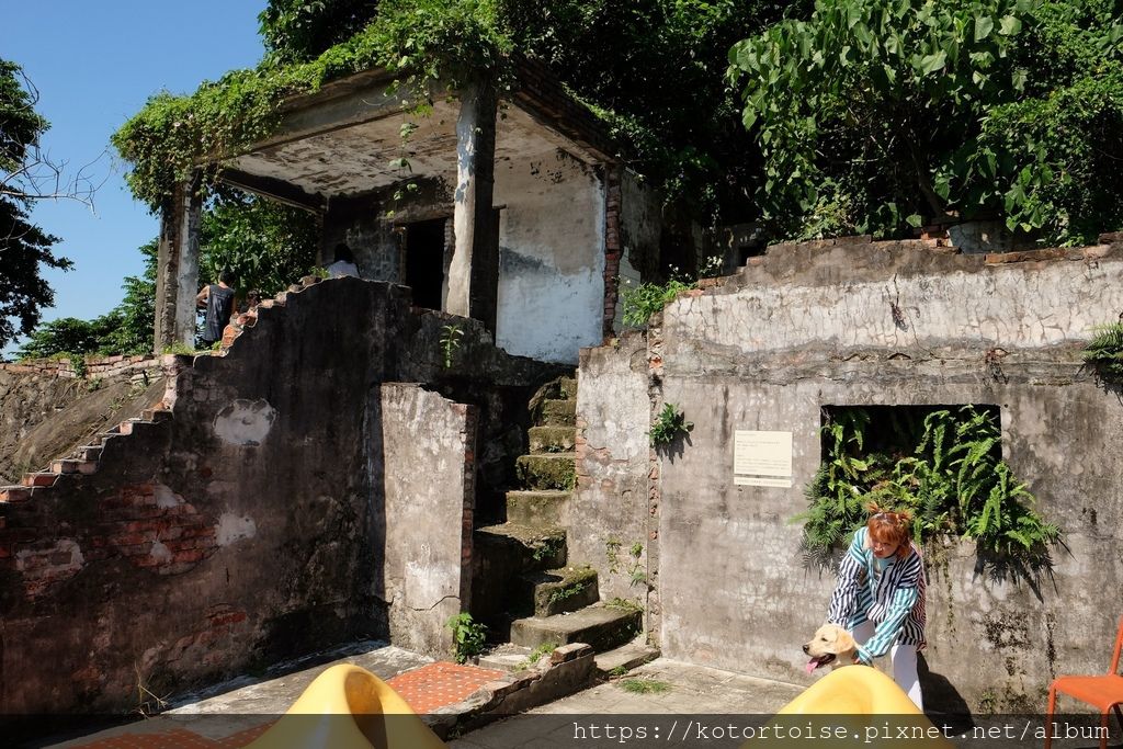 DSCF5354.jpg DSCF5354.jpg