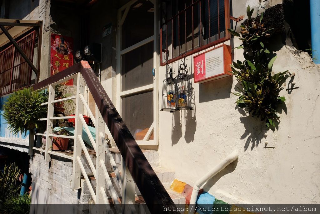 DSCF5366.jpg DSCF5366.jpg