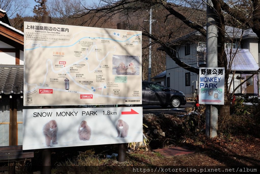 [日本東京] 長野地獄谷野猿公苑 - 看猴子泡溫泉