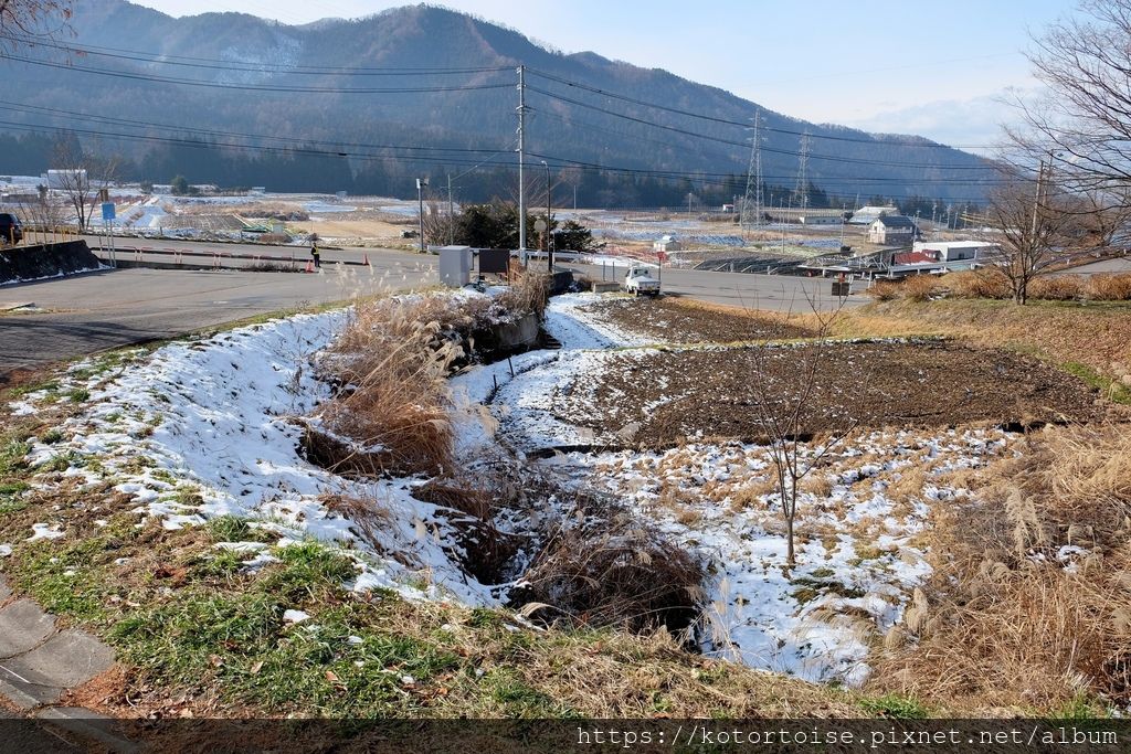 [日本東京] 長野地獄谷野猿公苑 - 看猴子泡溫泉