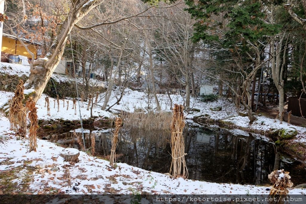 [日本東京] 長野地獄谷野猿公苑 - 看猴子泡溫泉