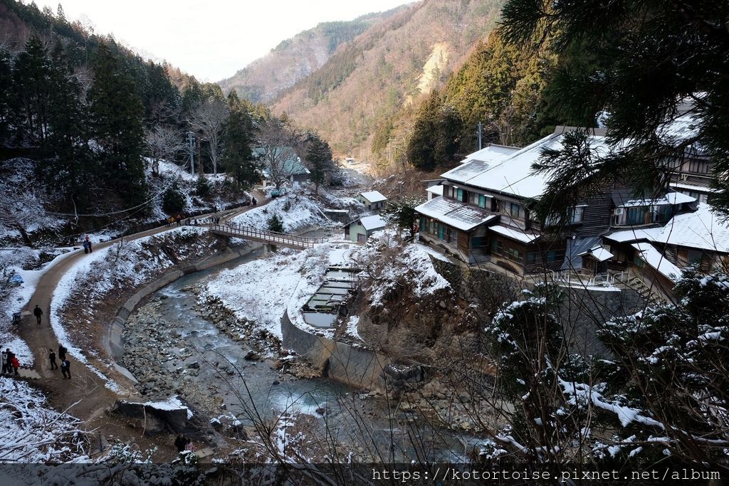 [日本東京] 長野地獄谷野猿公苑 - 看猴子泡溫泉