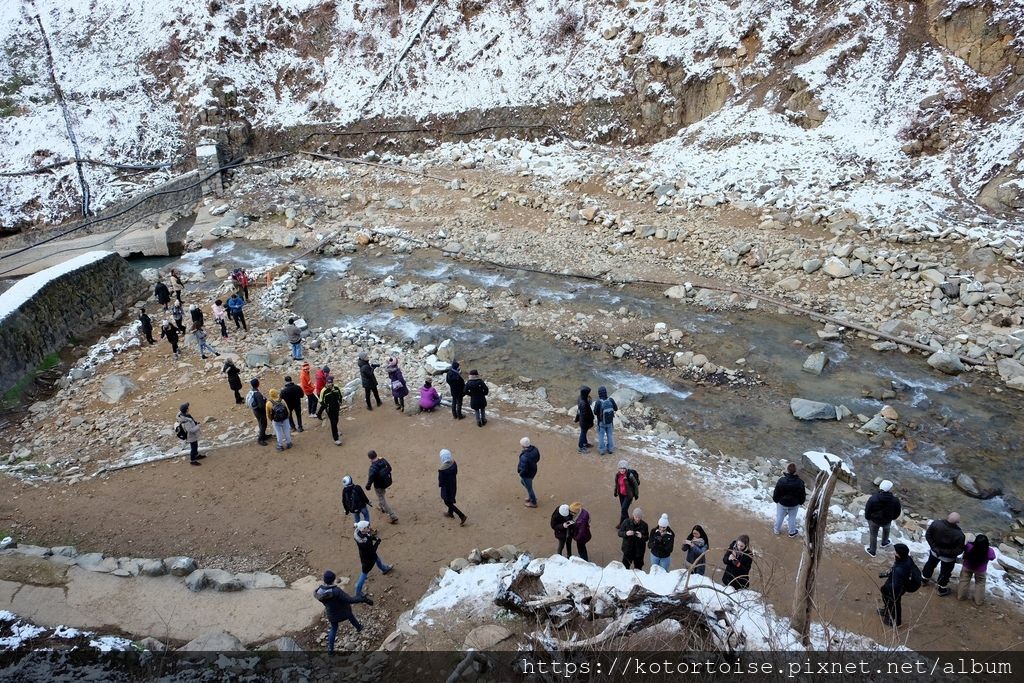 [日本東京] 長野地獄谷野猿公苑 - 看猴子泡溫泉