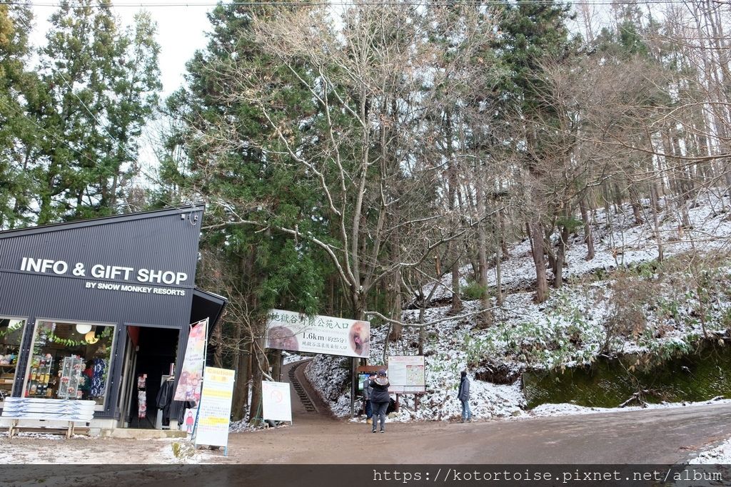 [日本東京] 長野地獄谷野猿公苑 - 看猴子泡溫泉