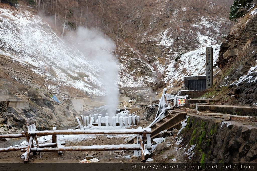 [日本東京] 長野地獄谷野猿公苑 - 看猴子泡溫泉