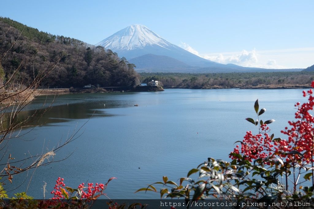 [日本東京] 2018 冬季 東京輕井澤富士五湖7天自駕之旅
