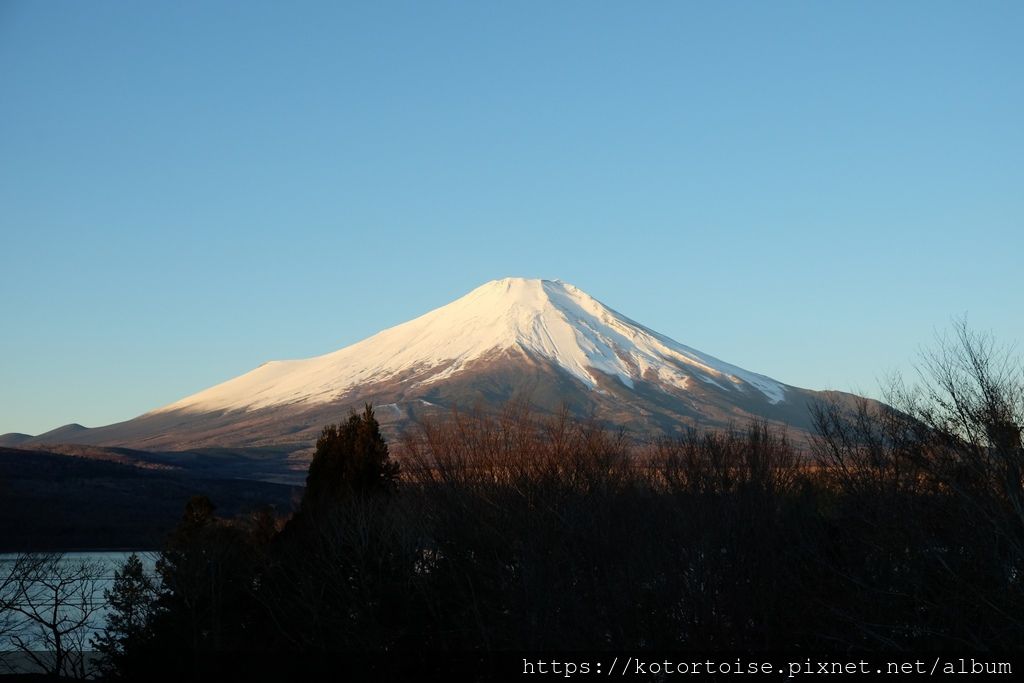 [日本東京] 河口湖大石公園，還有再次見到的紅富士 !