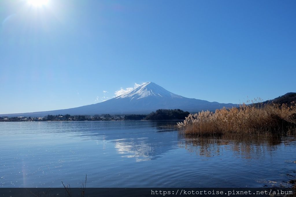 [日本東京] 河口湖大石公園，還有再次見到的紅富士 !