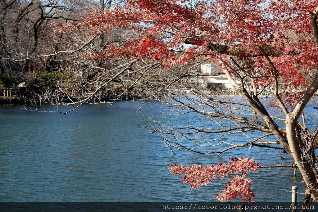 [日本東京] 吉祥寺 - 東京最宜居之處