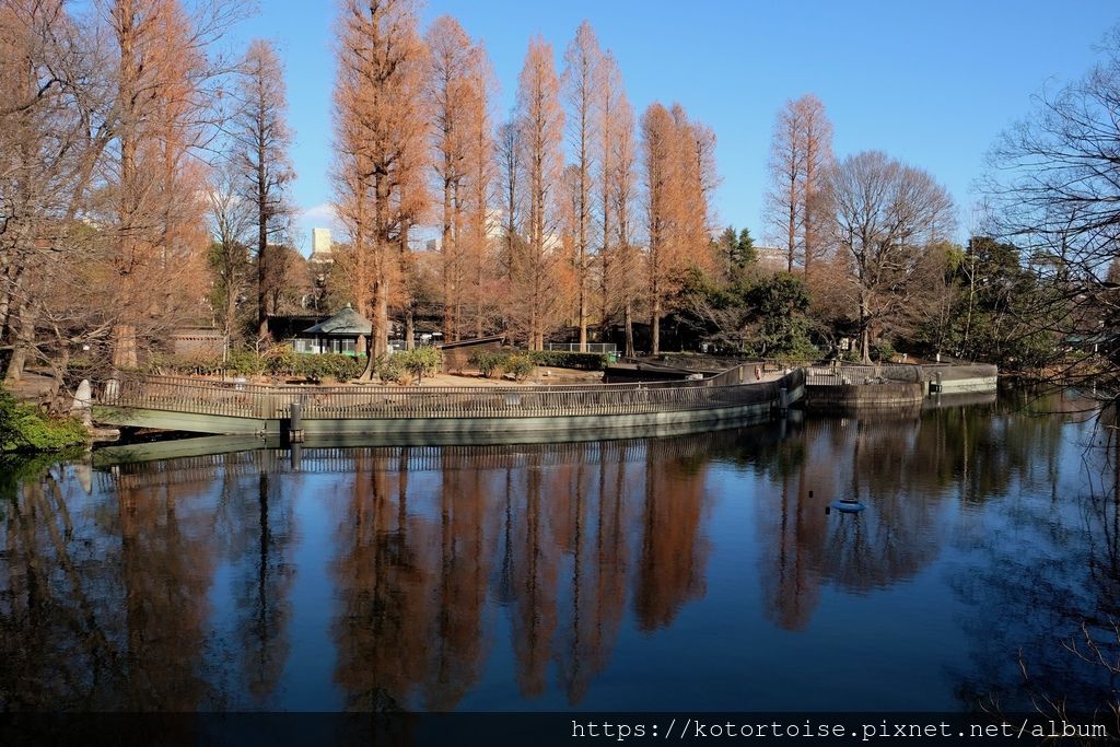 [日本東京] 吉祥寺 - 東京最宜居之處