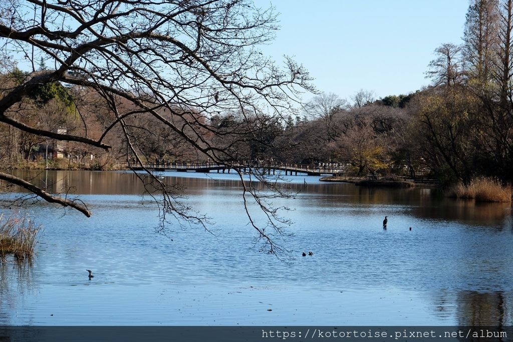 [日本東京] 吉祥寺 - 東京最宜居之處