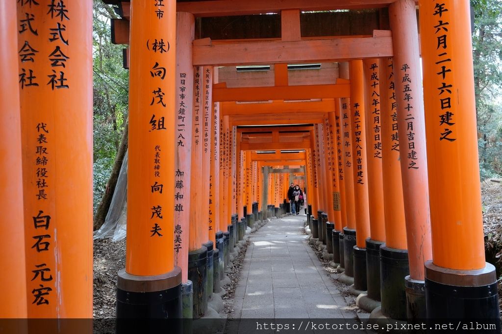 [日本關西] 2019.2 大阪京都5天4夜團體行