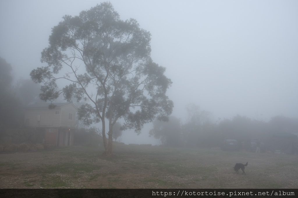 [台灣/苗栗] 2019.2 在拍片場露營 !!!