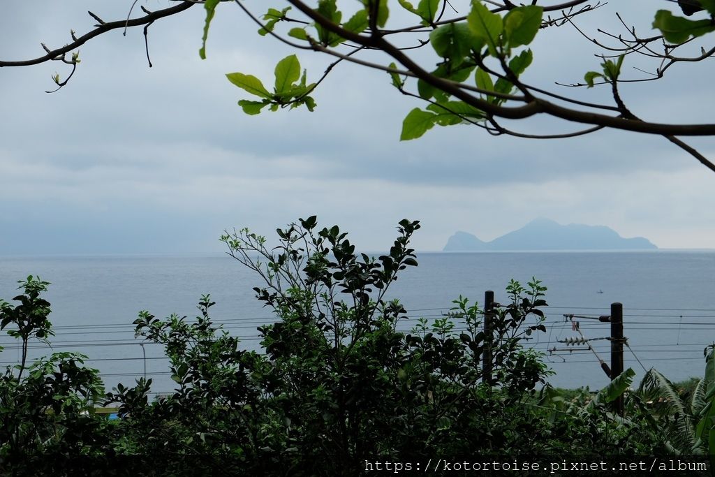 DSCF8981.jpg DSCF8981.jpg