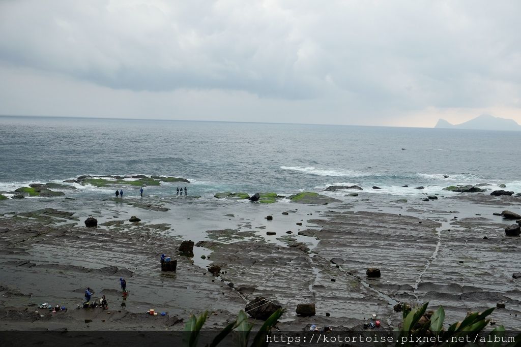 DSCF8995.jpg DSCF8995.jpg