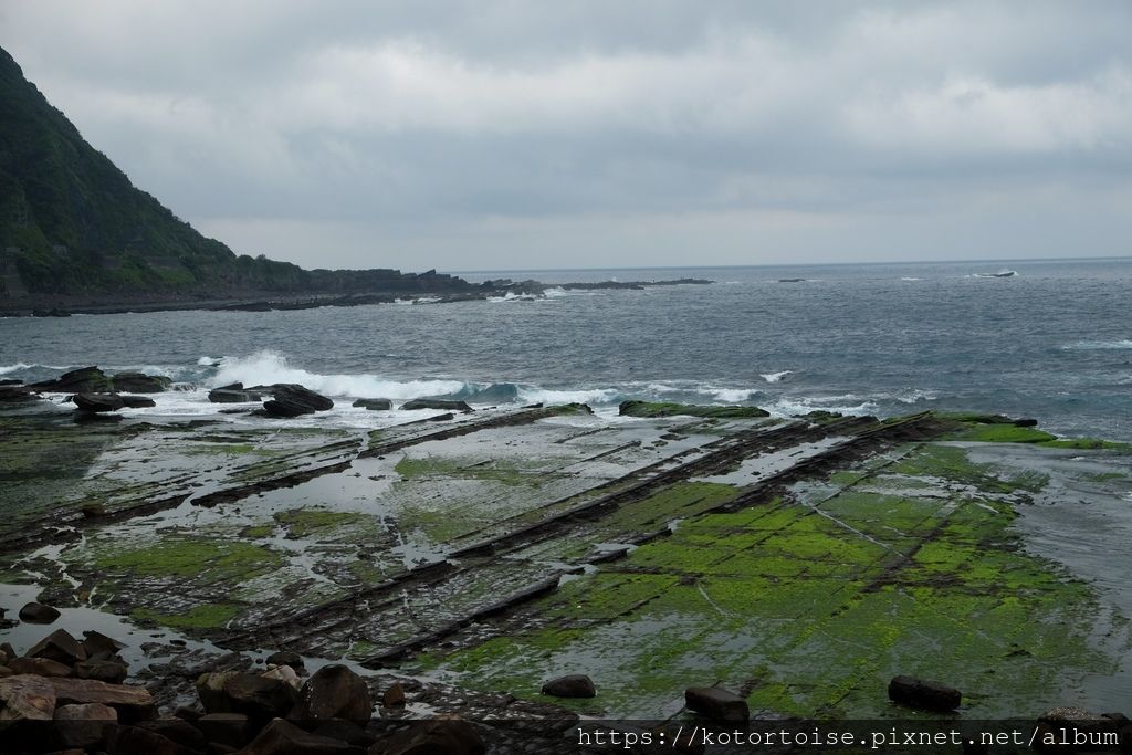 DSCF8992.jpg DSCF8992.jpg