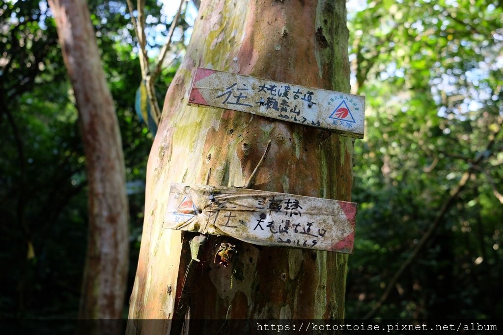 DSCF7397.jpg DSCF7397.jpg