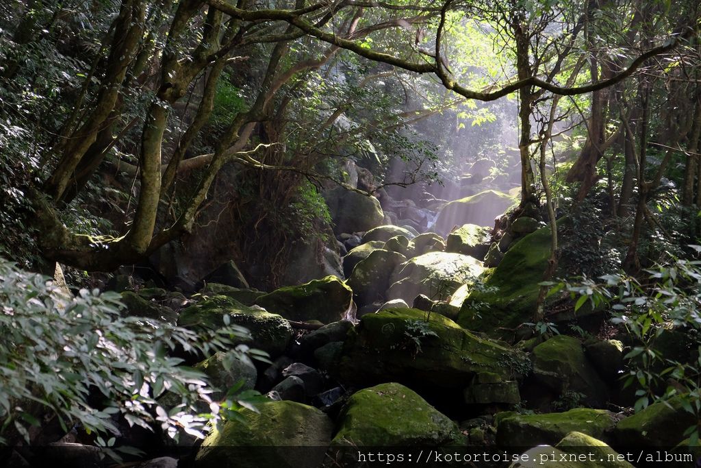 DSCF7387.jpg DSCF7387.jpg