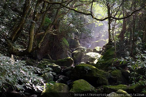 [犛牛的台灣景點] 新北: 近在咫尺的山水秘境