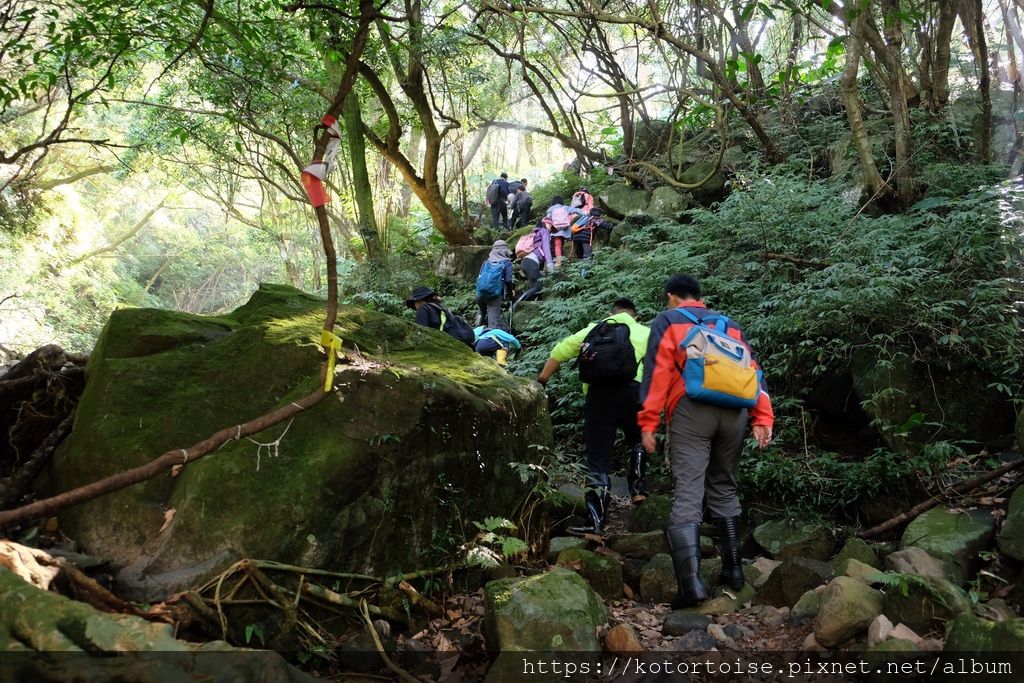 DSCF7401.jpg DSCF7401.jpg