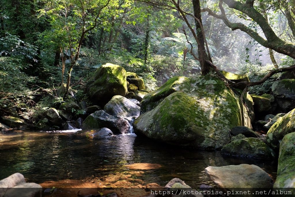 DSCF7408.jpg DSCF7408.jpg