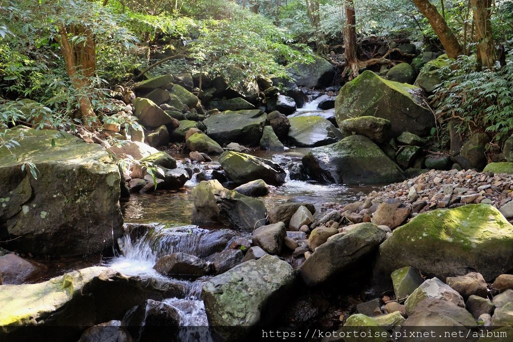 DSCF7410.jpg DSCF7410.jpg