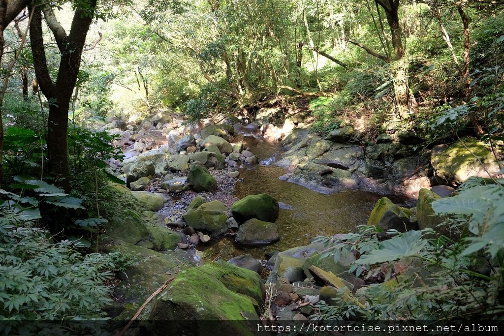 DSCF7420.jpg DSCF7420.jpg