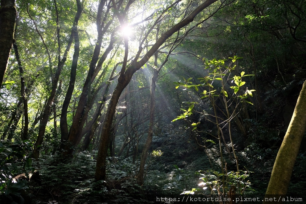 DSCF7422.jpg DSCF7422.jpg