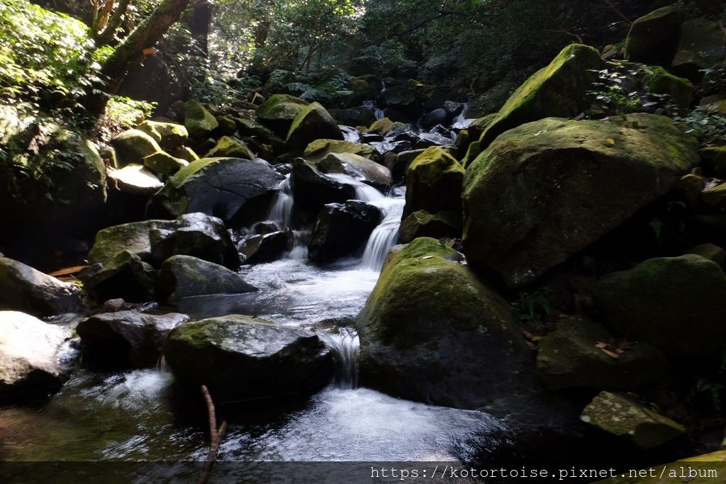 DSCF7432.jpg DSCF7432.jpg