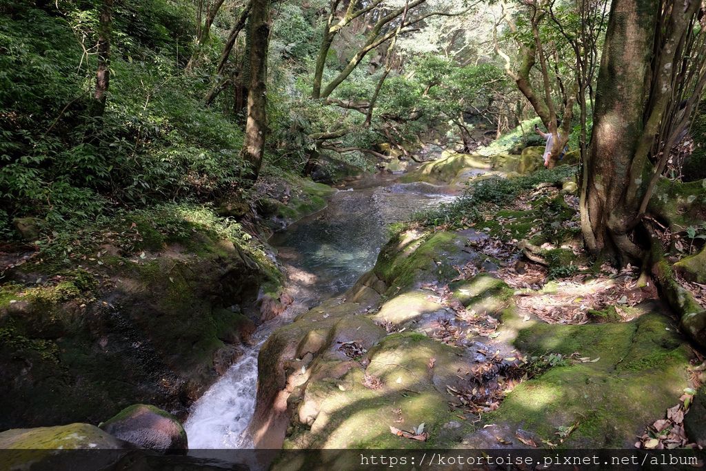 DSCF7466.jpg DSCF7466.jpg