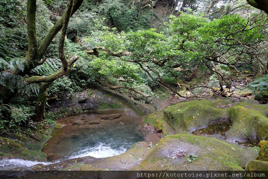 DSCF7478.jpg DSCF7478.jpg