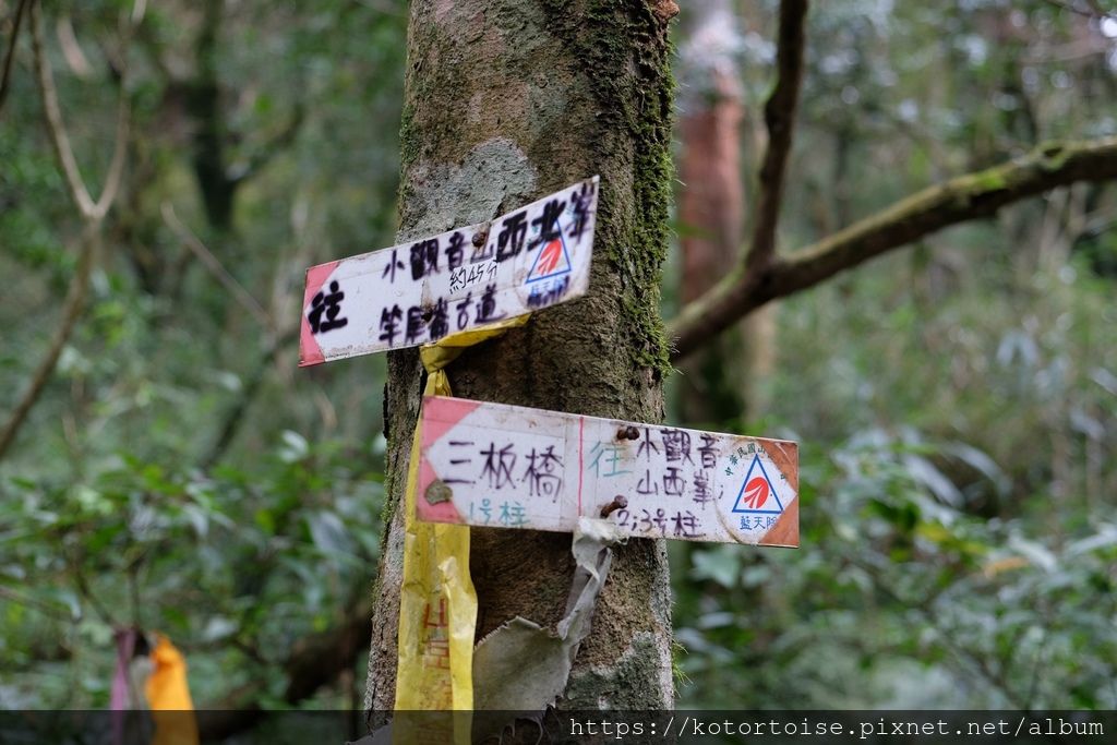 DSCF7484.jpg DSCF7484.jpg