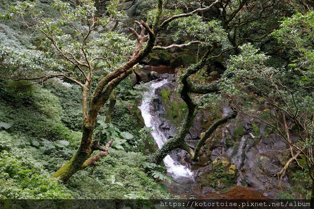 DSCF7483.jpg DSCF7483.jpg