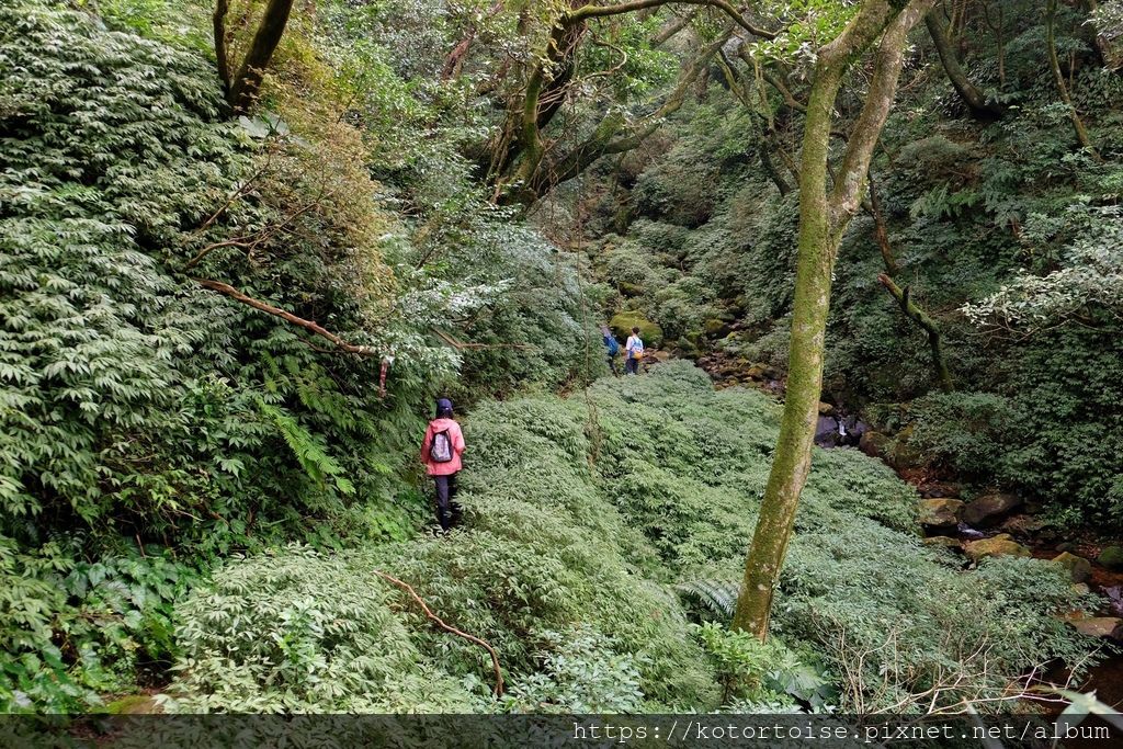 DSCF7485.jpg DSCF7485.jpg