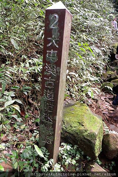 DSCF7496.jpg DSCF7496.jpg