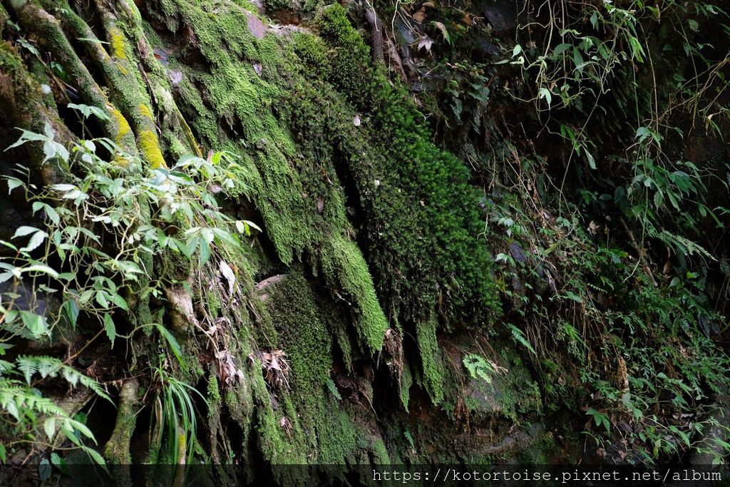 DSCF7499.jpg DSCF7499.jpg