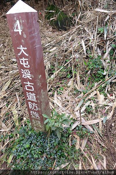 DSCF7505.jpg DSCF7505.jpg