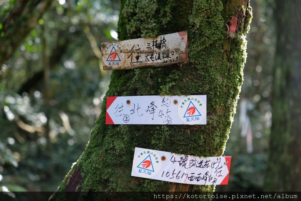 DSCF7502.jpg DSCF7502.jpg