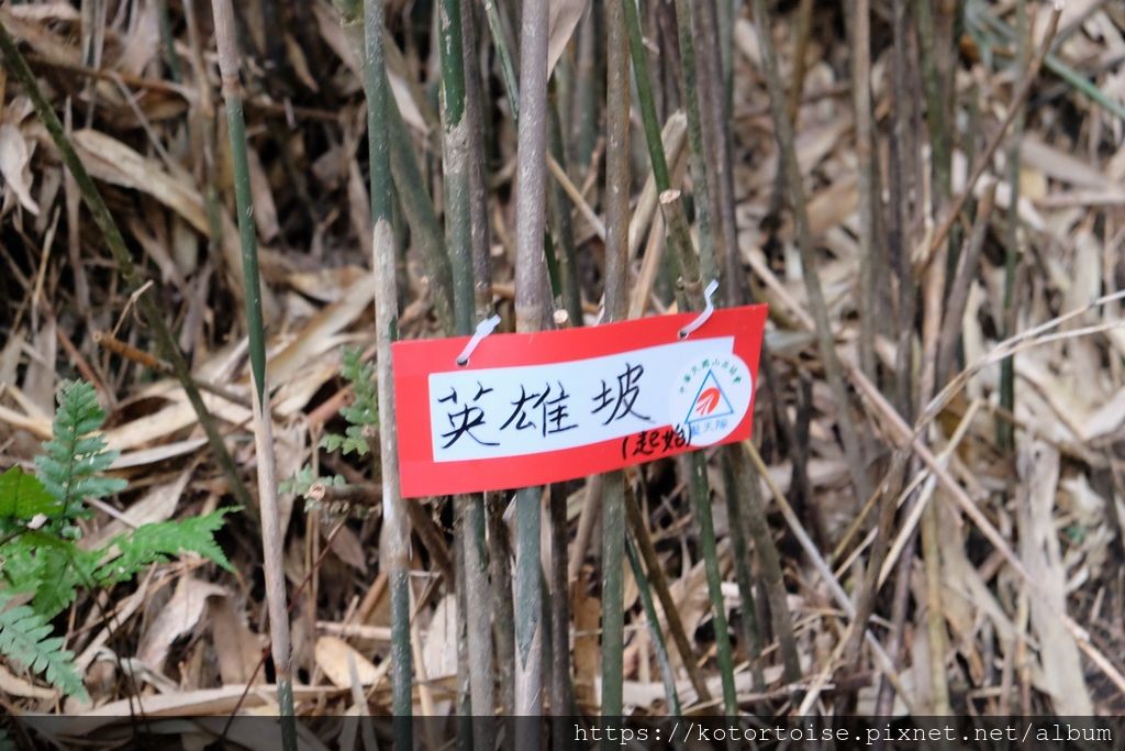 DSCF7523.jpg DSCF7523.jpg